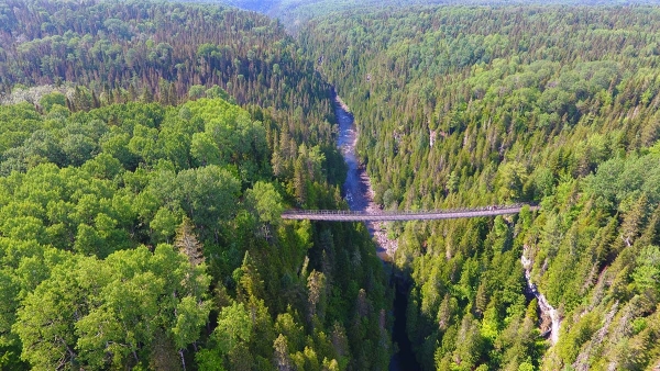 Canyon