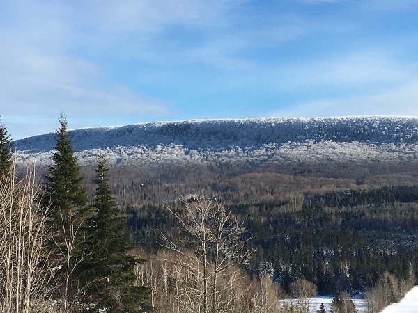 Montagne Blanche