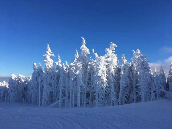 Montagne Blanche