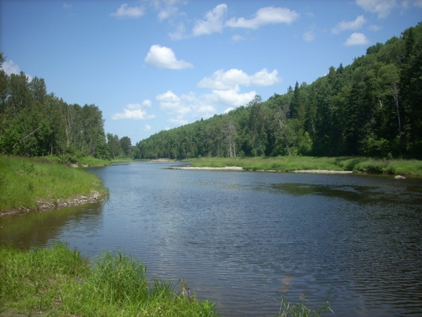 Halte de la Pointe-à-Boisvert