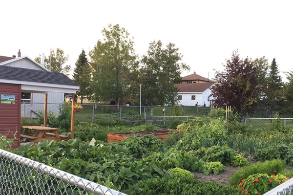 Jardin communautaire Jardin communautaire